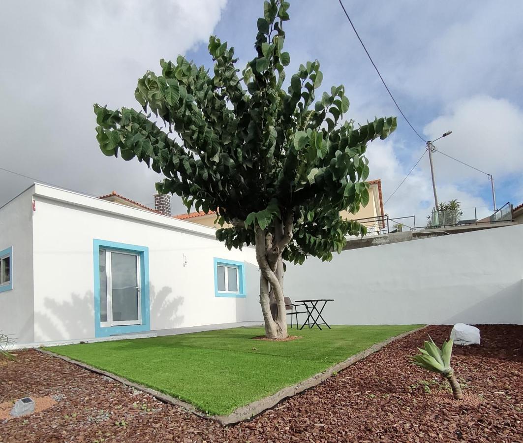 Vila Madeira Blue House Calheta  Exteriér fotografie